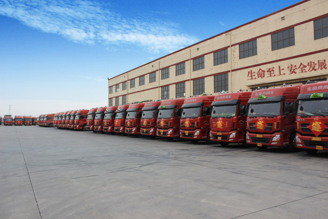 車隊展示 車隊展示